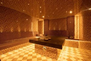 ARDEN PALACE Medical Resort & SPA 4