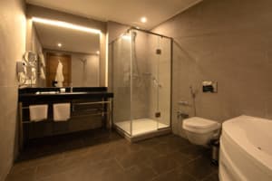 Санаторий ARDEN PALACE Medical Resort & SPA. Люкс двухместный однокомнатный 2