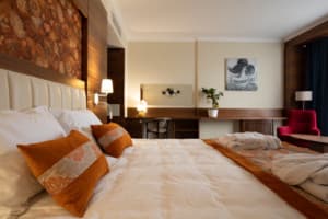 Санаторий ARDEN PALACE Medical Resort & SPA. Люкс двухместный однокомнатный 4