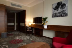 Санаторий ARDEN PALACE Medical Resort & SPA. Люкс двухместный однокомнатный 5