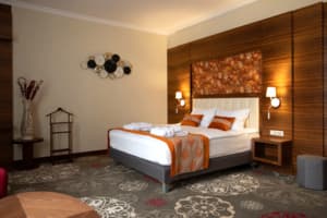 Санаторий ARDEN PALACE Medical Resort & SPA. Люкс двухместный однокомнатный 1