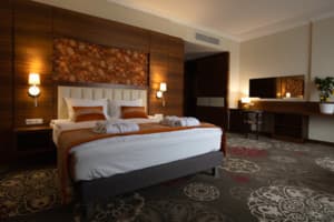 Санаторий ARDEN PALACE Medical Resort & SPA. Люкс двухместный однокомнатный 7