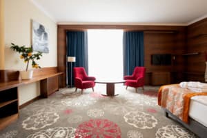 Санаторий ARDEN PALACE Medical Resort & SPA. Люкс двухместный однокомнатный 12