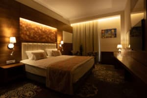 Санаторий ARDEN PALACE Medical Resort & SPA. Стандарт двухместный  1