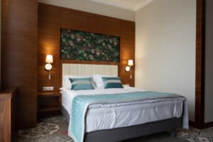 Санаторий ARDEN PALACE Medical Resort & SPA. Стандарт двухместный  + 3