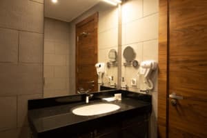 Санаторий ARDEN PALACE Medical Resort & SPA. Стандарт двухместный  + 5