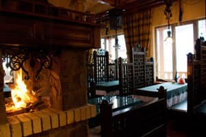 Дикий мед 10