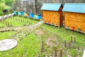 Жемчужина Подолья 14