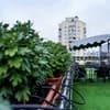 Отель Plaza. Полулюкс двухместный 603 12